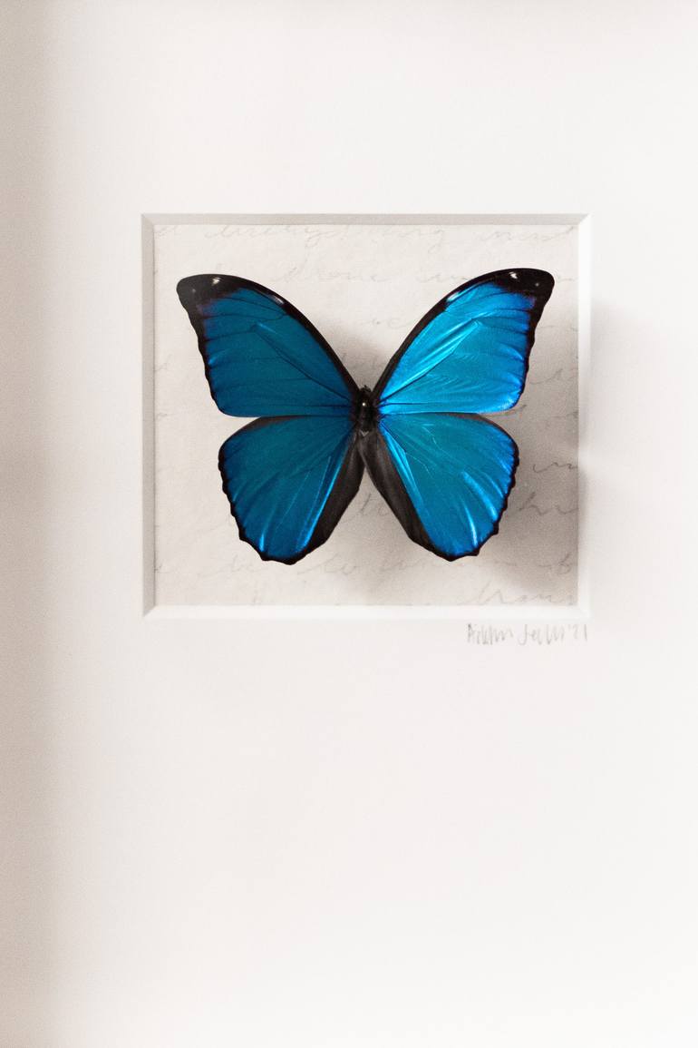 Blue Butterfly Art, Butterfly Art, Blue Art-No. 1267 Light+Vivid ...