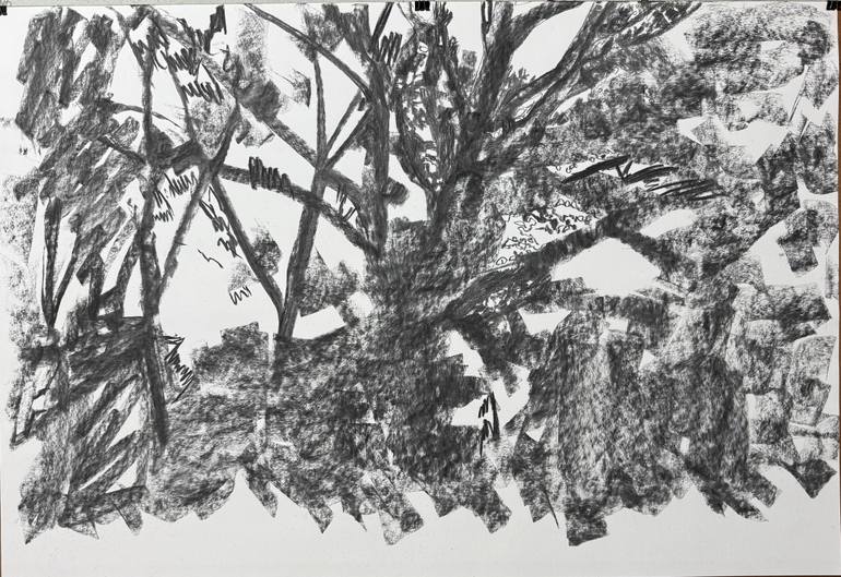 Original Realism Nature Drawing by Eakalak Maleetipawan