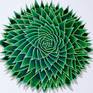 Collection The Other Art Fair Melbourne 2025 | Full Artist List