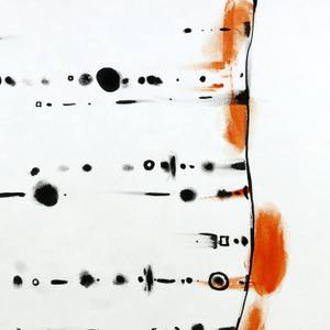 Collection Roy van Ecke, Pseudologia Fantastica