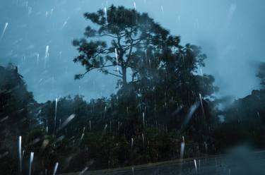 Florida Rain thumb