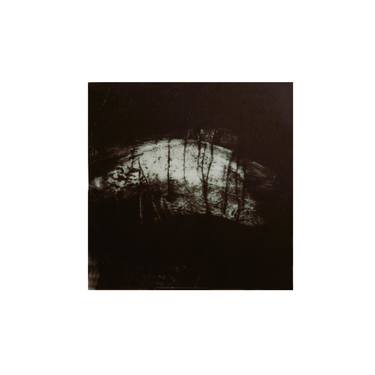 Original Abstract Animal Printmaking by Doris Schmitz