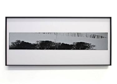 Original Abstract Animal Printmaking by Doris Schmitz