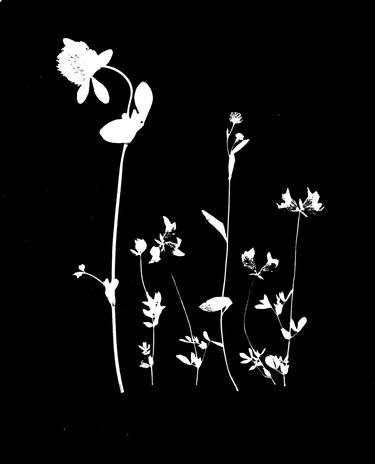 Flowers 5 - Inverted Black and White thumb