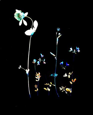 Original Fine Art Floral Mixed Media by Erica SCHWENDENER