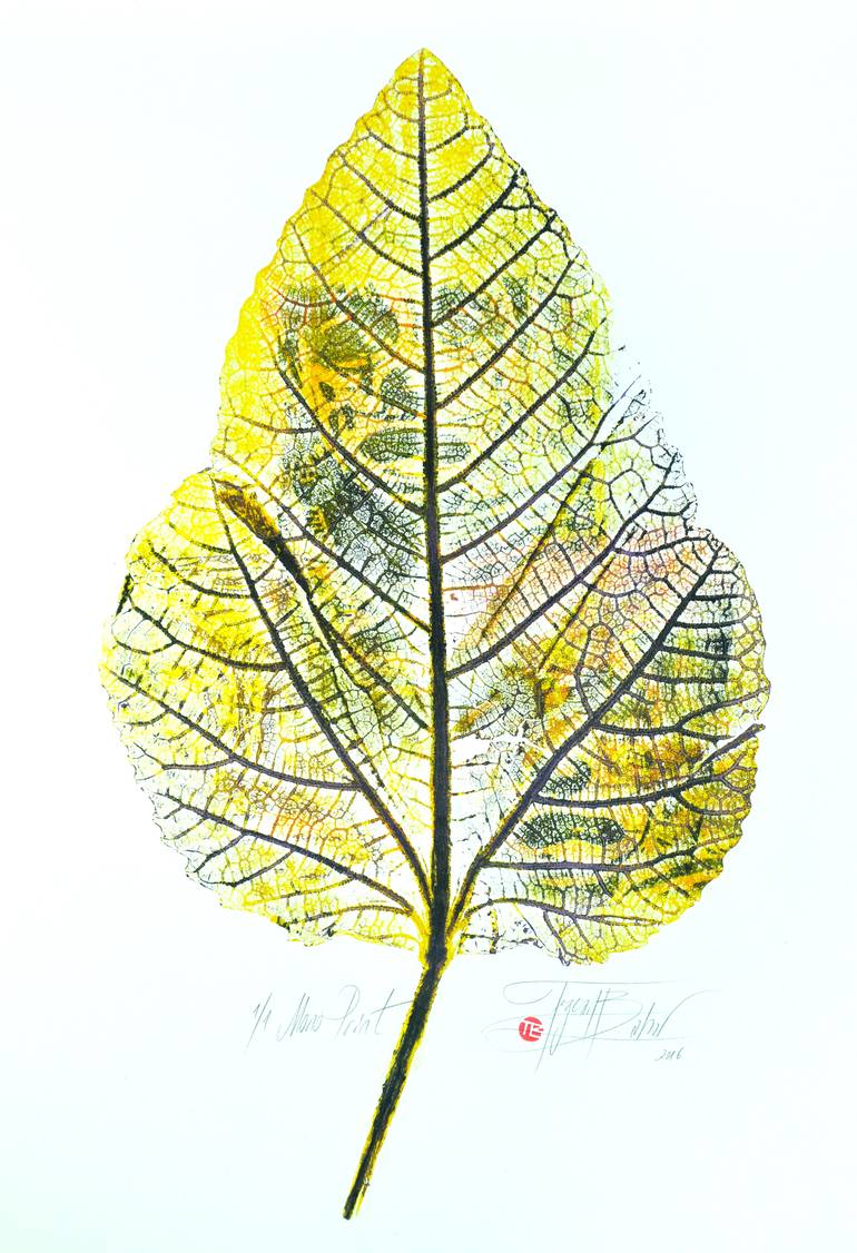 Original Art Deco Nature Printmaking by Tezcan Bahar