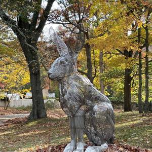 Rabbit at Noon