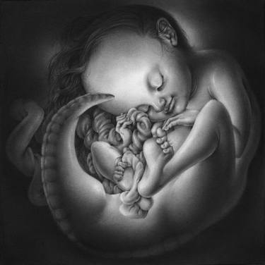 Embryological Fetus thumb