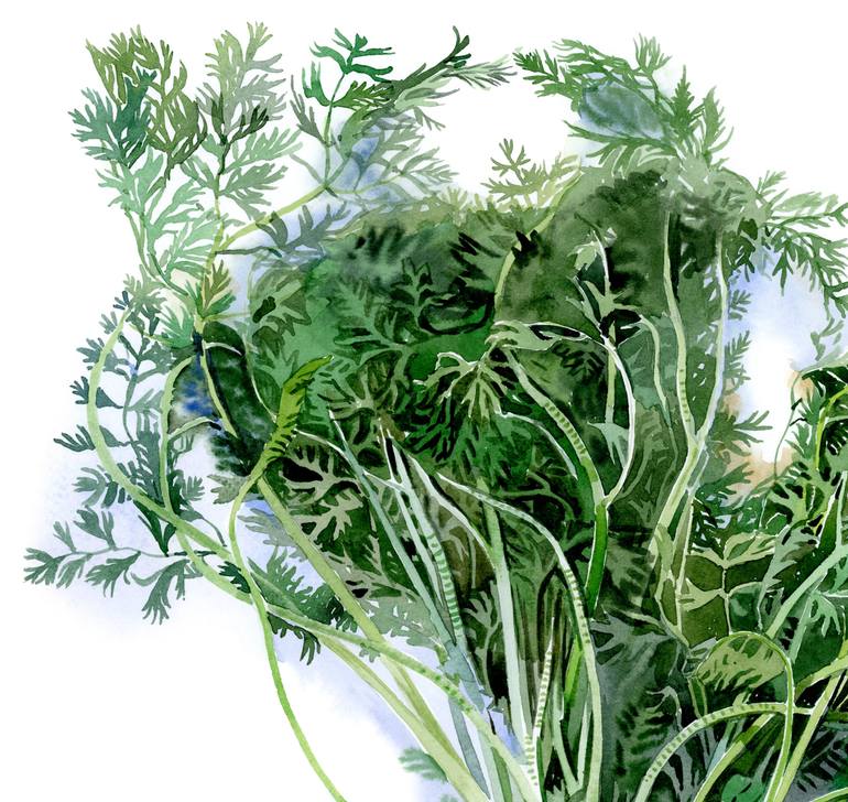 Original Photorealism Botanic Painting by Olga Prokopenko