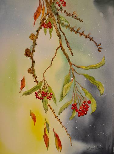 Original Fine Art Nature Paintings by Emer Beattie