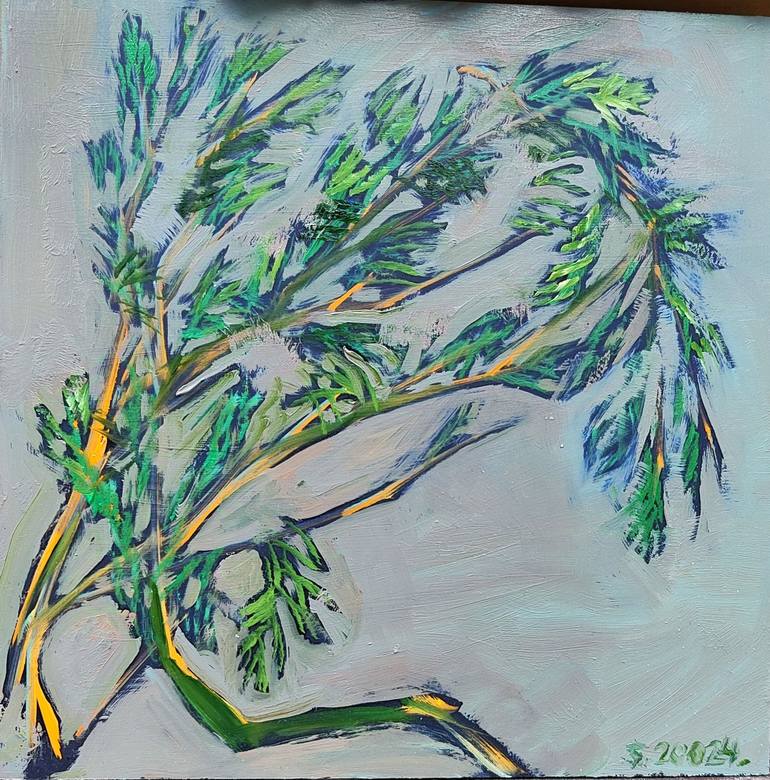 thuja oil Thuja Oil