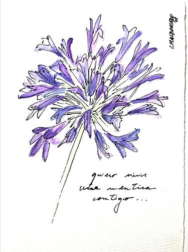Print of Floral Drawings by Cristina Maldonado
