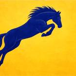 Indian Horse - Contemporary Art Series 3 by Akash Bhisikar