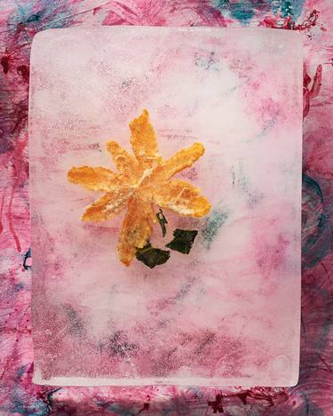 Mandarine flower thumb