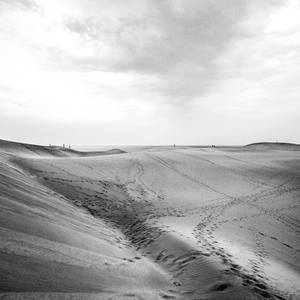 NPQ's Fall 2015 Edition