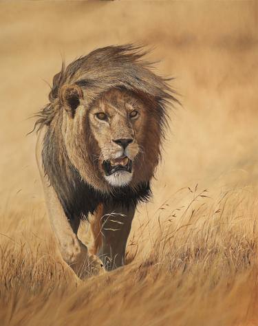 Original Photorealism Animal Paintings by Shakart Shant Karapetyan