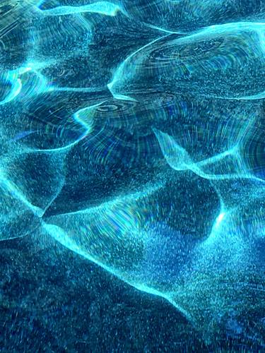 Original Kinetic Nature Photography by Sophie Renoir