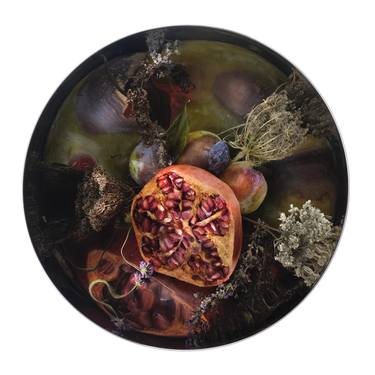 Storysphere Pomegranate - Limited Edition of 15 thumb