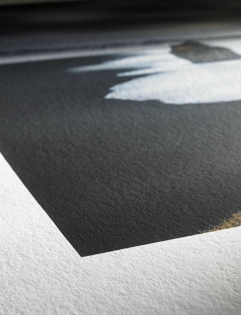 Original Contemporary Botanic Photography by Fernando Silva
