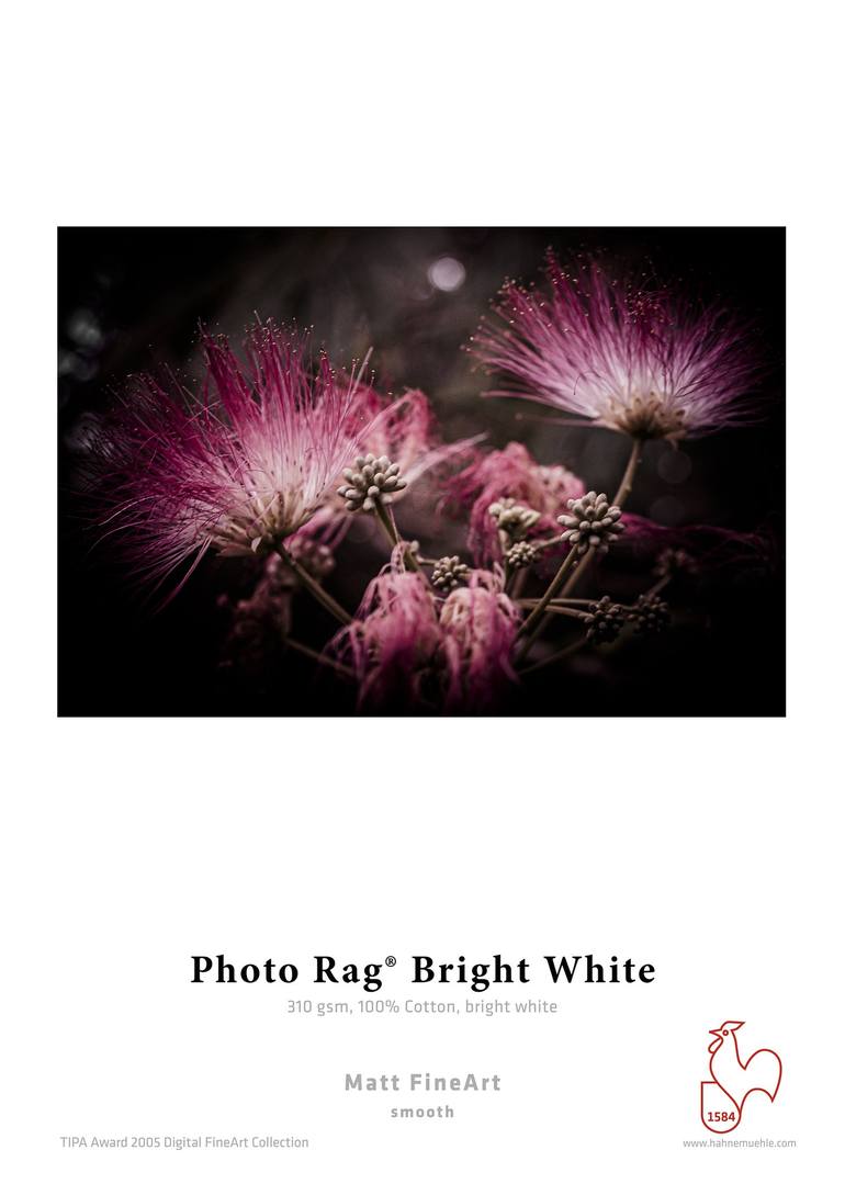 Original Fine Art Botanic Photography by Fernando Silva