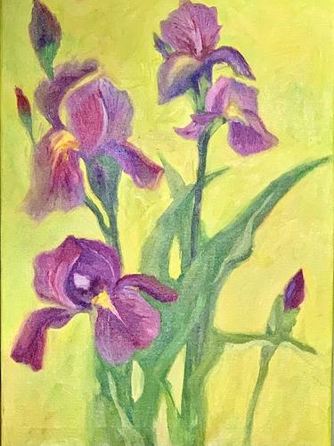 Irises thumb