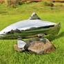 A female Atlantic salmon in stainless steel swimming over a rock. I love to watch the Salmon jumping over the weir in Ludlow.