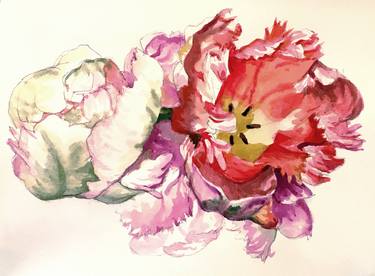 Print of Figurative Botanic Paintings by Robert O'Rorke