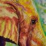 The painting is painted in watercolor on paper. Will be shipped without a frame, in the tube.
The elephant is a very beautiful, smart and kind animal. I wanted him to be in the different colors. I tried to show in picture friendly and spiritual connection between the elephant and man.
You can see more of my paintings on my Facebook page: https://www.facebook.com/pg/alexandralarina51/photos/?ref=page_internal