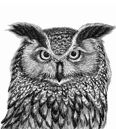 Owl head - graphic drawing thumb