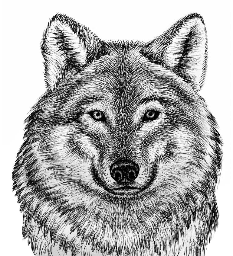 Original Art Deco Animal Drawing by Alexandra Larina Satori