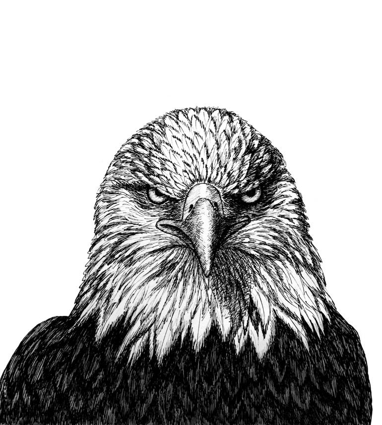 Original Art Deco Animal Drawing by Alexandra Larina Satori