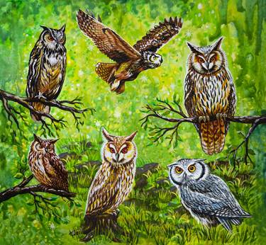 Forest full of owls - Limited Edition of 33 thumb