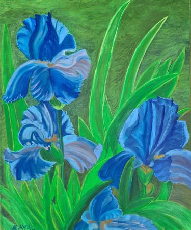 Blue irises thumb