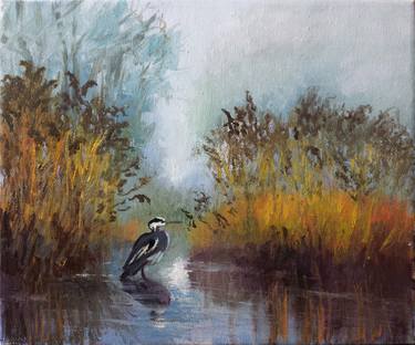 Gray heron in the swamp  Dense marsh reeds sedge thumb