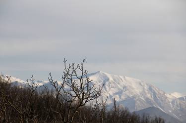 Print of Realism Seasons Photography by Maria-Christina Papastathi