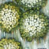 Lime & Pistachio Sorbet by Lisa Wisse-Robinson