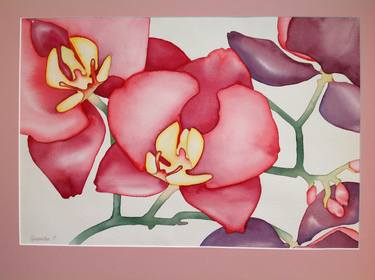 "red orchid 1" thumb