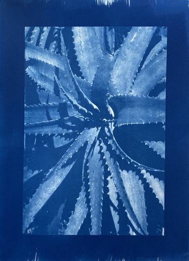 Original Fine Art Botanic Photography by Buffy Davis