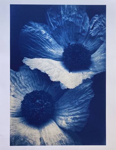 Prickly Poppies Giclee - Limited Edition of 50 thumb