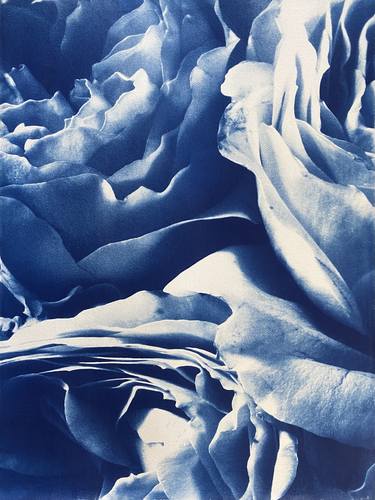 Roses in Blue - Limited Edition of 1 thumb
