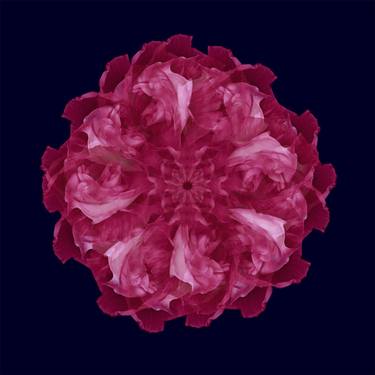 Original Fine Art Nature Photography by Raquel Glottman