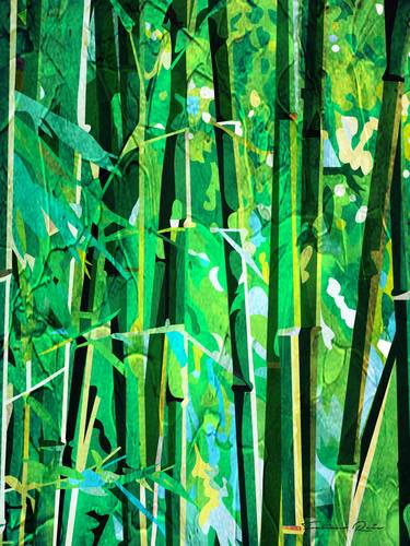 Bamboos thumb