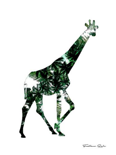 Giraffe thumb