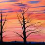 Collection Bare Trees