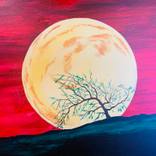 Collection Surreal sunsets and landscapes