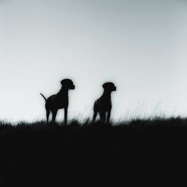 Two Viszla Dogs in Silhouette - #1 of - Limited Edition of 25 thumb