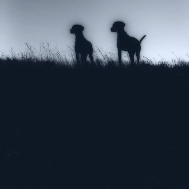 Two Vizsla Dogs in Silhouette 2 - #1 of - Limited Edition of 25 thumb