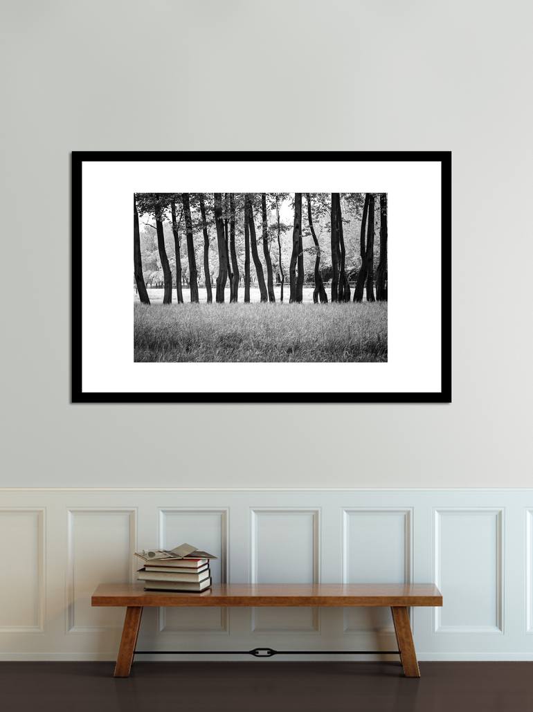 Original Abstract Tree Photography by Deborah Pendell