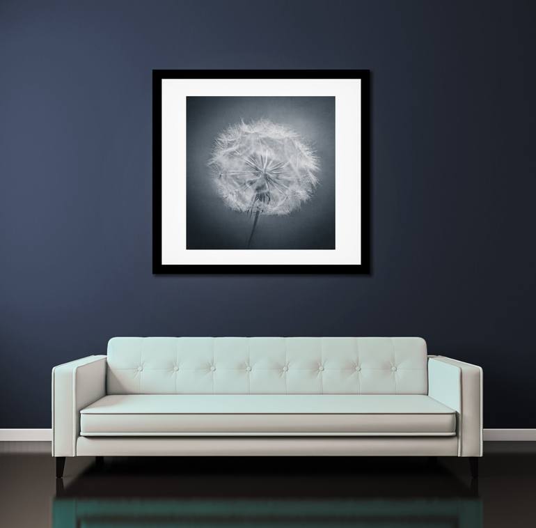 Original Fine Art Botanic Photography by Deborah Pendell