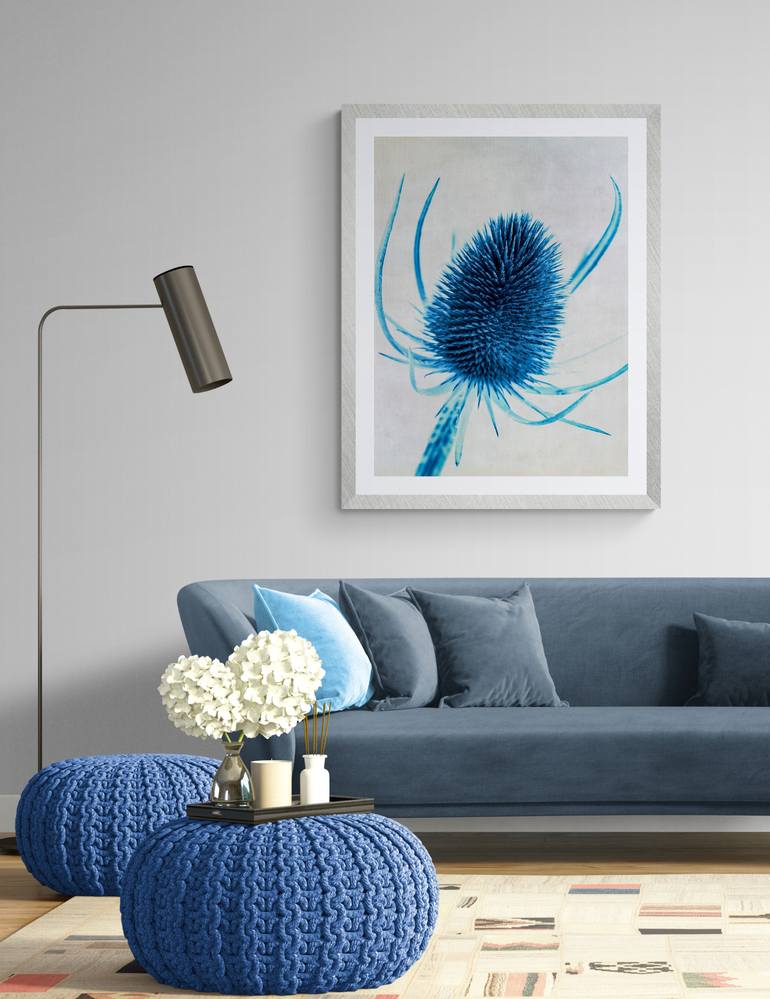 Original Documentary Floral Photography by Deborah Pendell